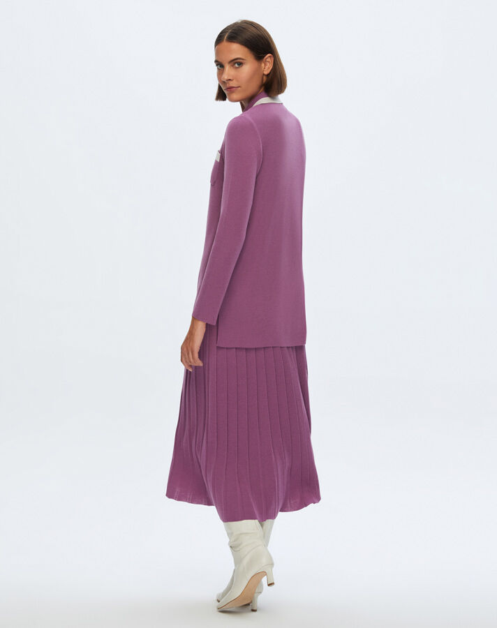 Color Detailed Pleat Skirt - 2