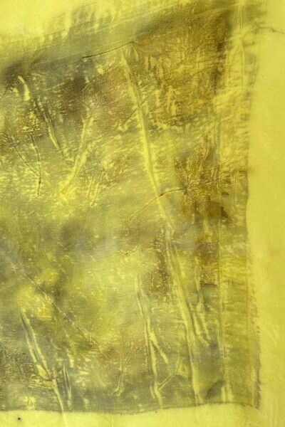 T25PF-5806 Doğanın Sarısı İpek Şal YELLOW - MISS DALIDA (1)